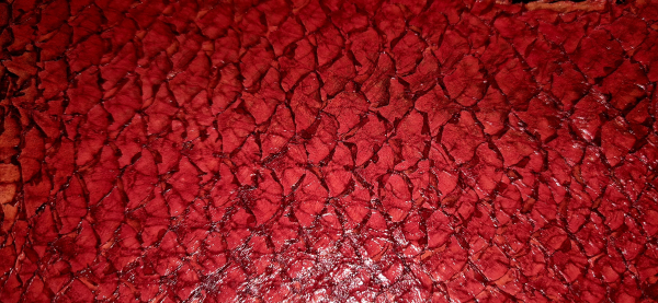 Koi carp reather – red